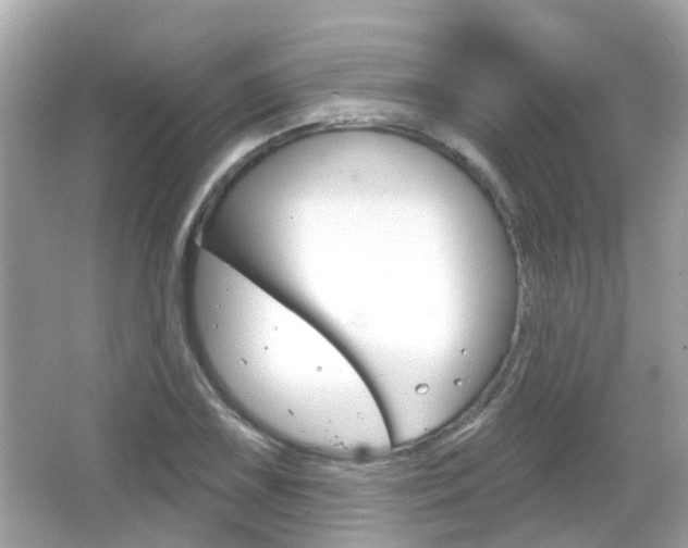 X0000066531075200603171023
