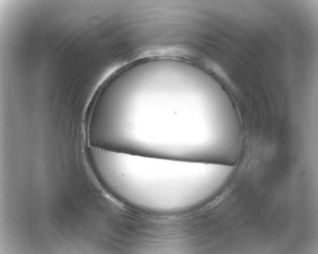X0000066531079200603171023
