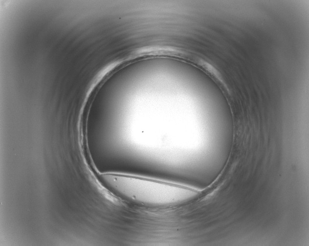 X0000066531082200603171023
