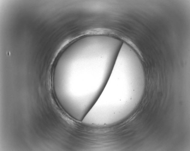 X0000066531083200603171023