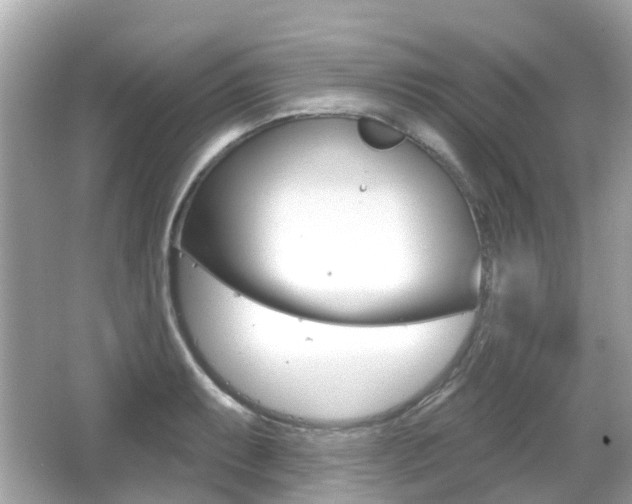 X0000066531087200603171023