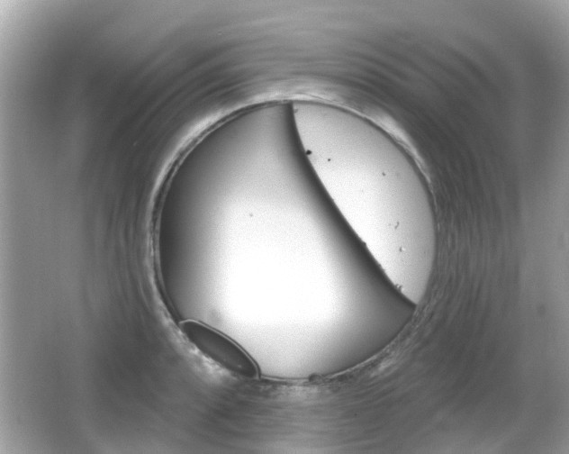 X0000066531088200603171023
