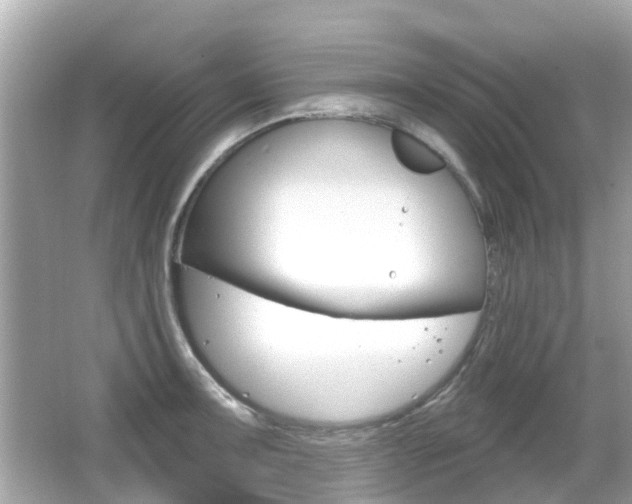 X0000066531091200603171023