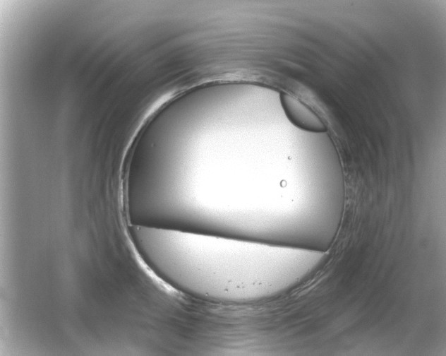 X0000066531095200603171023