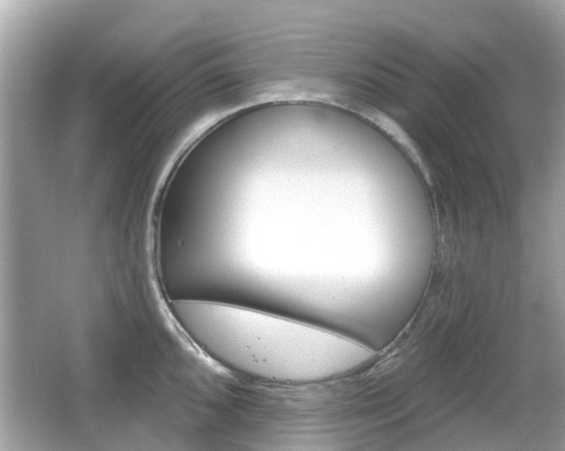 X0000066531096200603171023