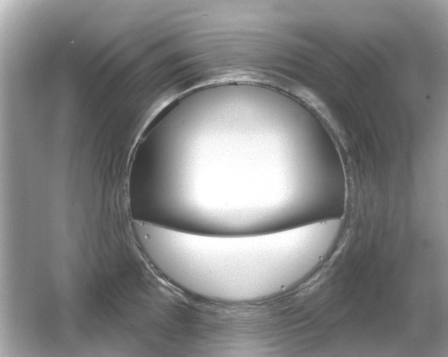 X0000066531097200603171023