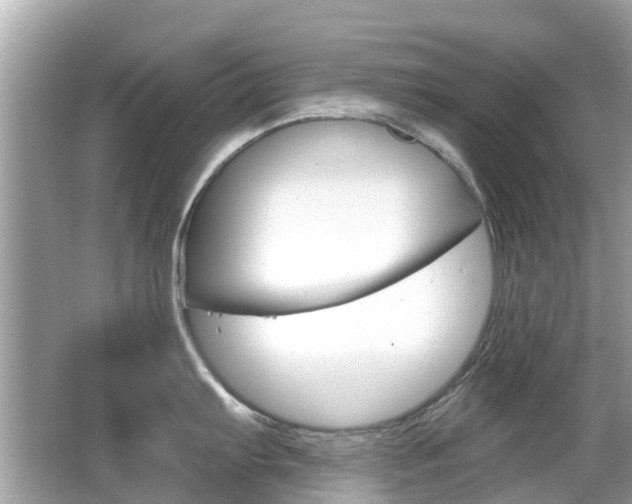 X0000066531103200603171023