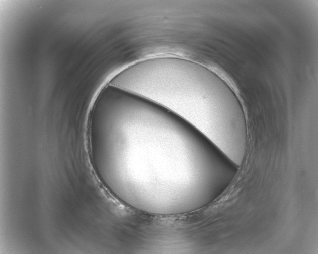 X0000066531104200603171023