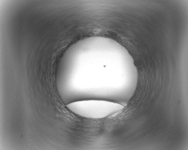 X0000066531105200603171022