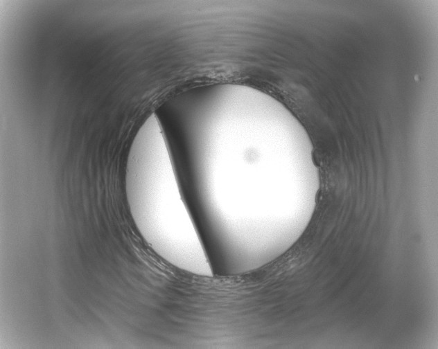 X0000066531106200603171022