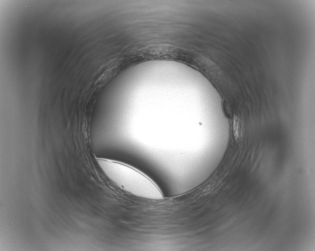 X0000066531107200603171022