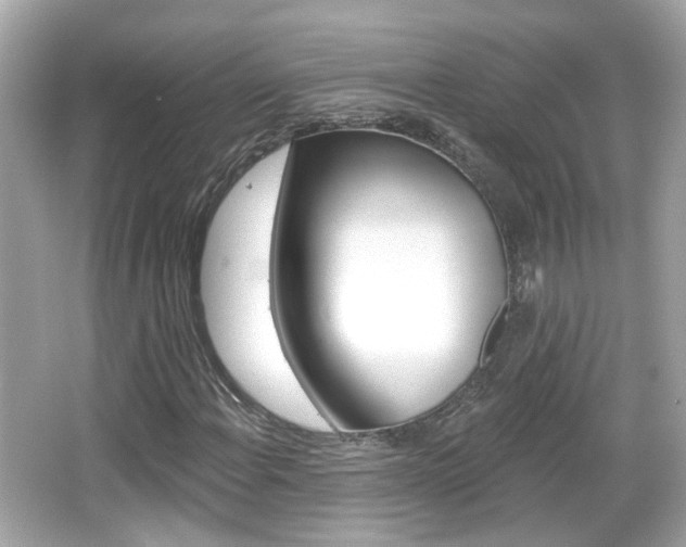 X0000066531108200603171022