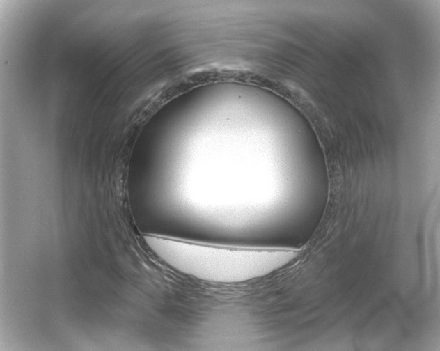 X0000066531110200603171022