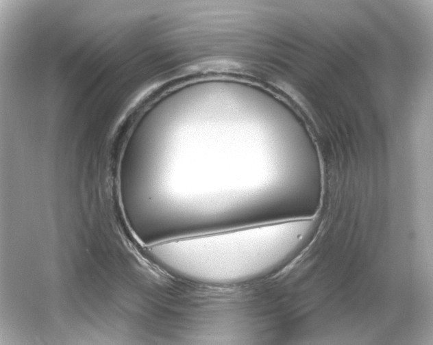 X0000066531115200603171022