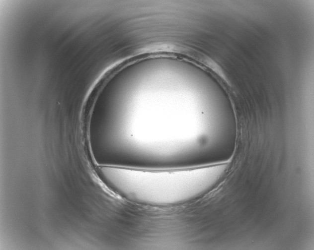 X0000066531116200603171022