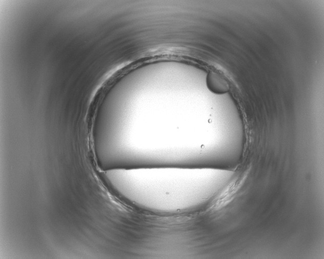 X0000066531117200603171022