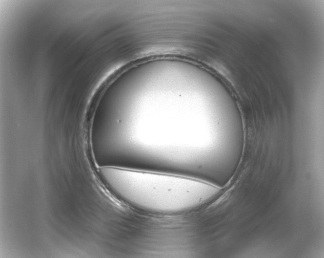 X0000066531119200603171022