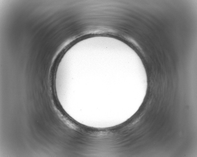 X0000066531122200603171022