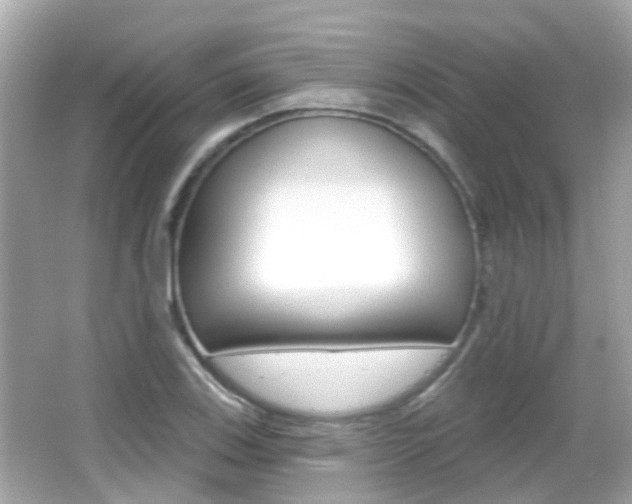 X0000066531123200603171022