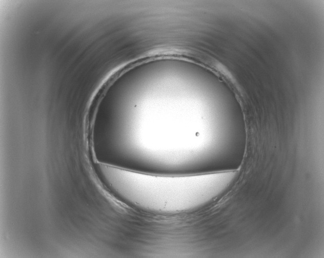 X0000066531124200603171022