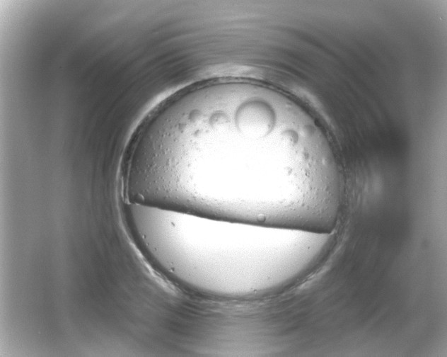 X0000066531125200603171022