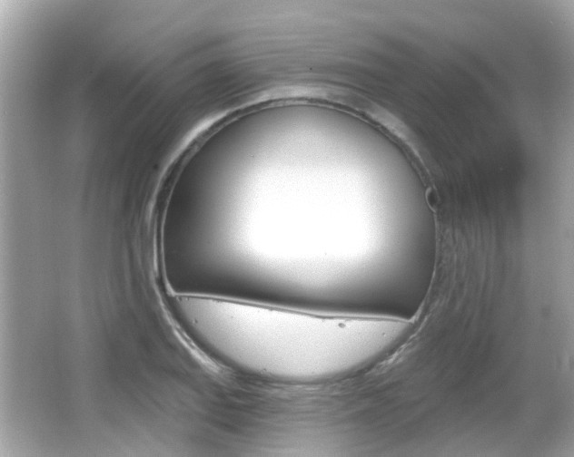 X0000066531127200603171022