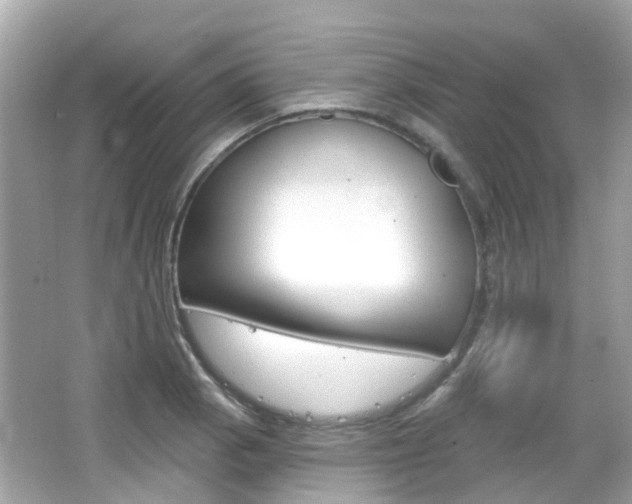 X0000066531129200603171022