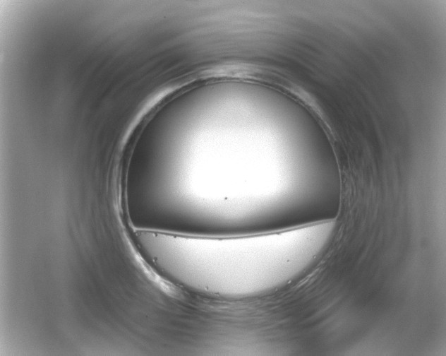 X0000066531131200603171022
