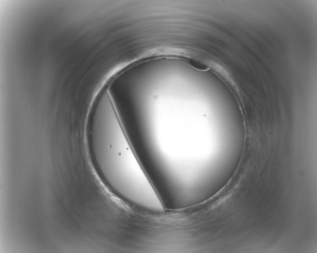 X0000066531133200603171022