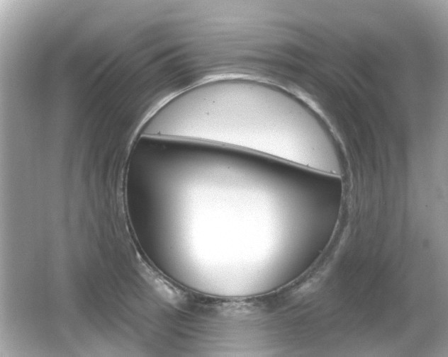 X0000066531137200603171022