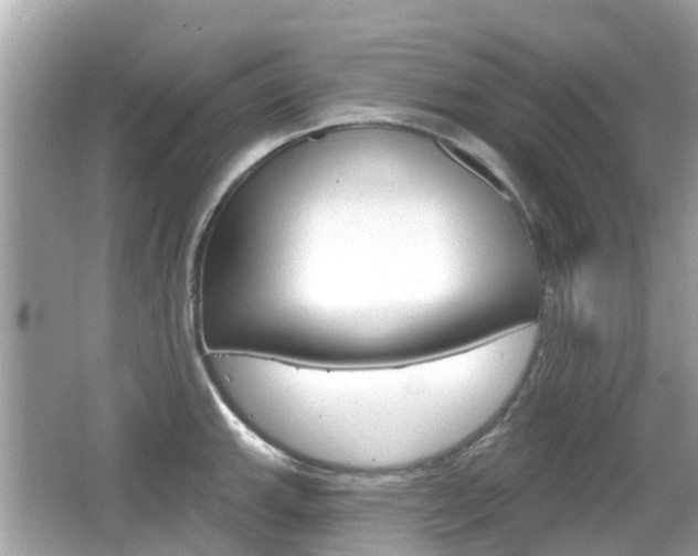X0000066531143200603171022