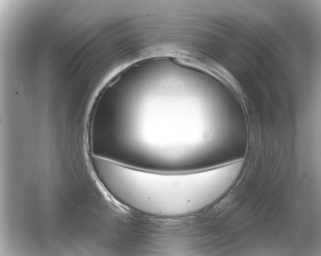 X0000066531144200603171022