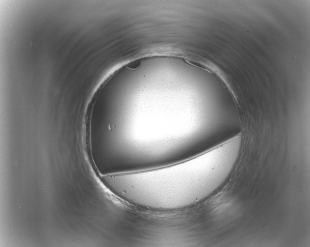X0000066531147200603171023
