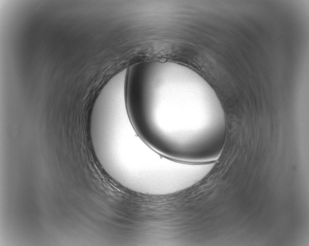 X0000066531153200603171022