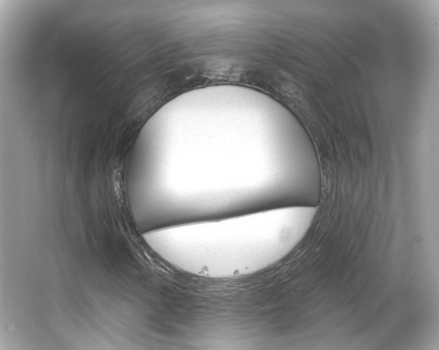 X0000066531154200603171022