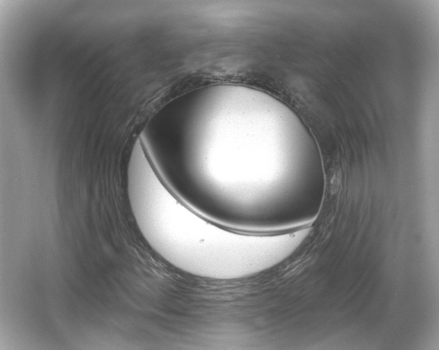 X0000066531156200603171022