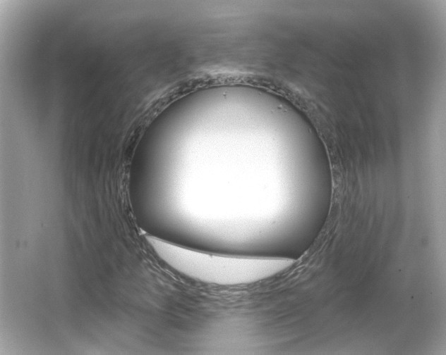 X0000066531157200603171022