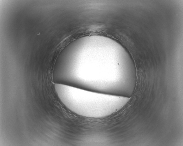 X0000066531158200603171022