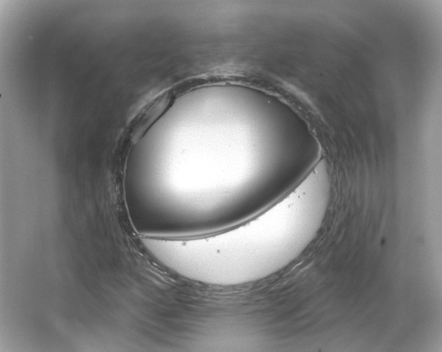 X0000066531160200603171022