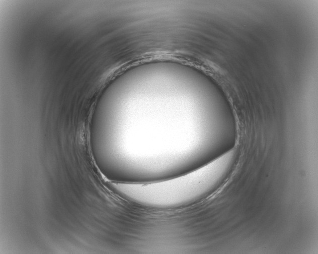 X0000066531161200603171022