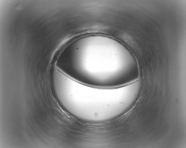 X0000066531164200603171022
