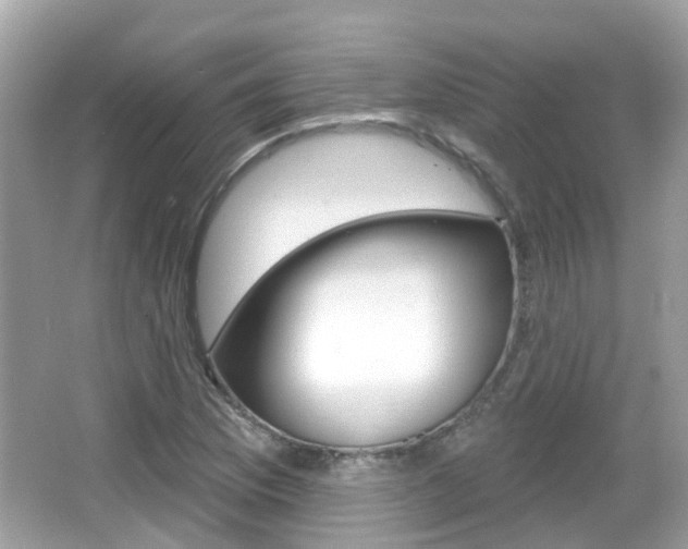 X0000066531169200603171022