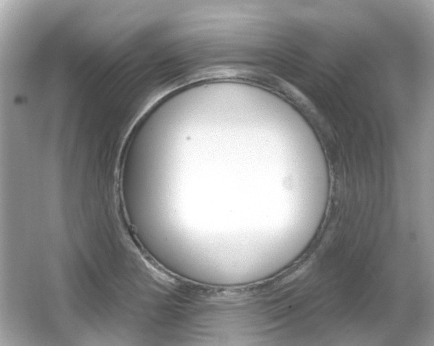 X0000066531178200603171021