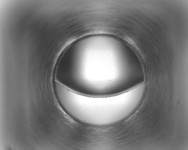 X0000066531181200603171021