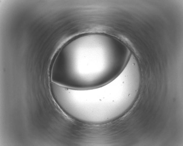 X0000066531184200603171021
