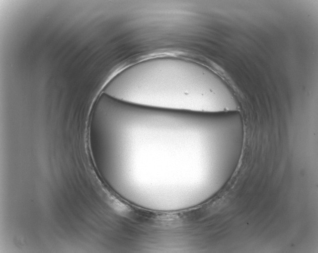 X0000066531186200603171021