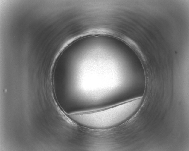 X0000066531192200603171021