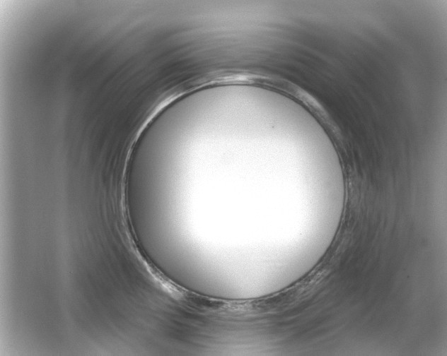 X0000066531194200603171021