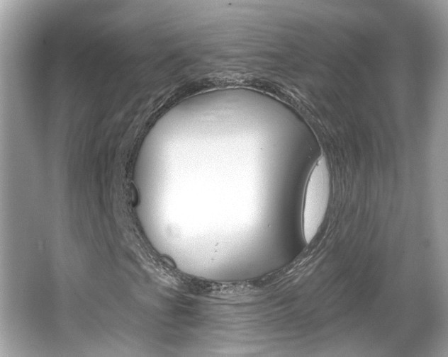 X0000066531201200603171020
