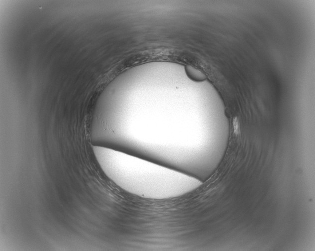 X0000066531203200603171020